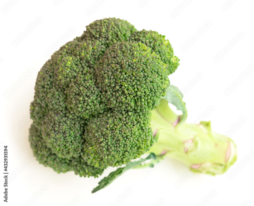fresh broccoli and florets on white background fresh broccoli and florets on white background