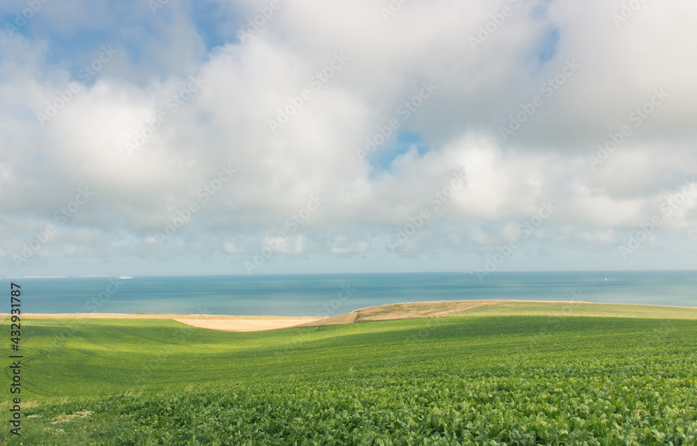 paysage du Pas-de-Calais et de la Côte d'Opale près d'Escalles en été le long de la Manche