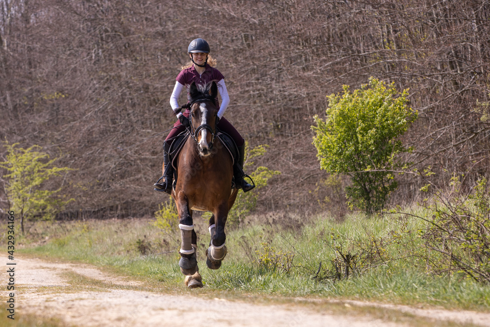 Reiterin und Pferd im Gelände Reiterin und Pferd im Gelände