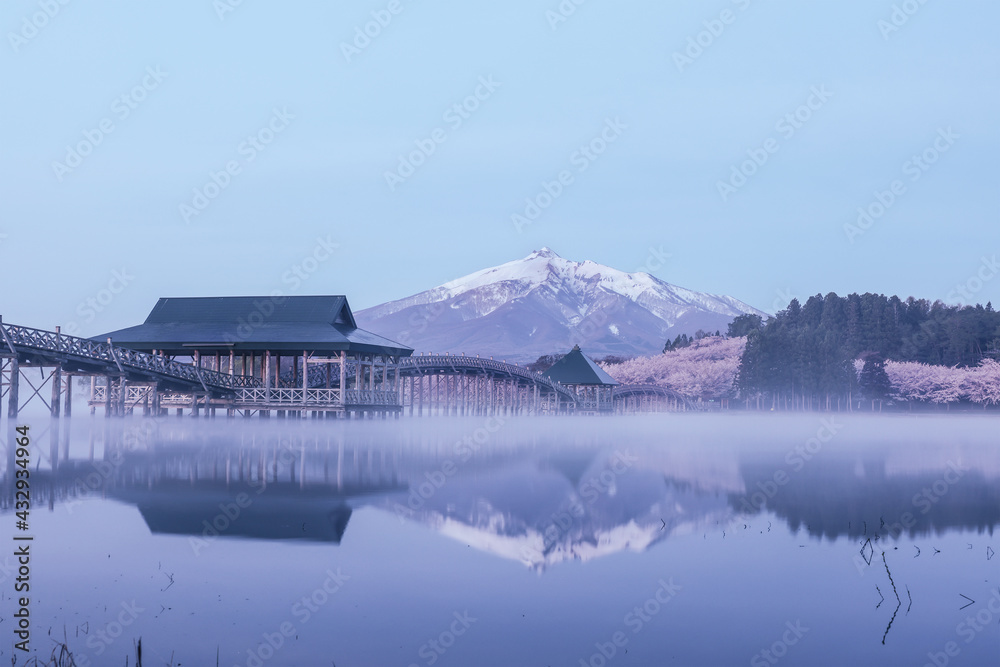 Obraz premium 桜と鶴の舞橋と岩木山朝靄 