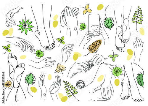 Collection. Silhouettes of human legs, hands and leaves in a modern style. Solid one line drawing, outline for decor, wall posters, stickers, logo. Set of vector illustrations.