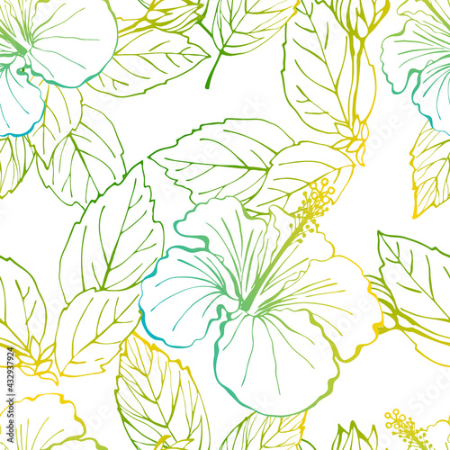 Hibiscus flower seamless pattern. Hand drawn sketch style. Line art. Mallow Chinese Rose. Herbal tea. Hawaii. Colourful Tropical Vector background for paper, textile, wrapping and wallpaper.