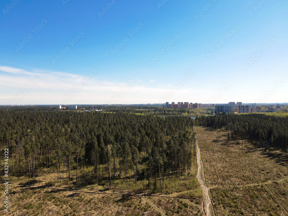 Fototapeta premium View from the height of the road in the field, the forest on the outskirts of the city with residential high-rise buildings. Panoramic beautiful photo from a drone. Picturesque photo wallpaper, screen