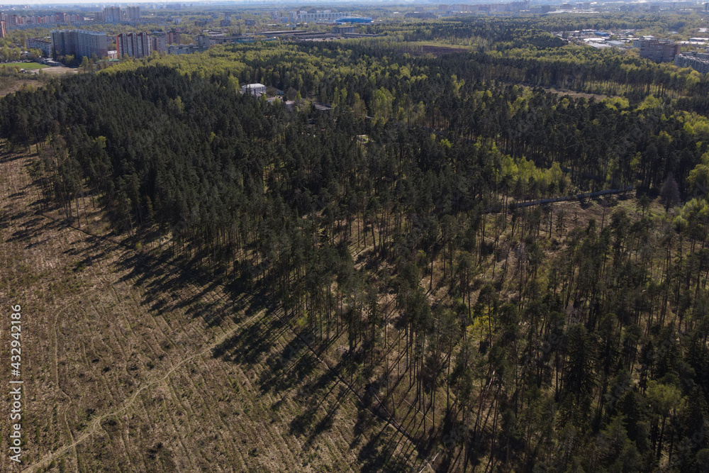View from the height of the field and coniferous forest. Panoramic beautiful photo from a drone. Picturesque photo wallpaper, screensaver, cover, background. View from the height of the field and coniferous forest. Panoramic beautiful photo from a drone. Picturesque photo wallpaper, screensaver, cover, background.
