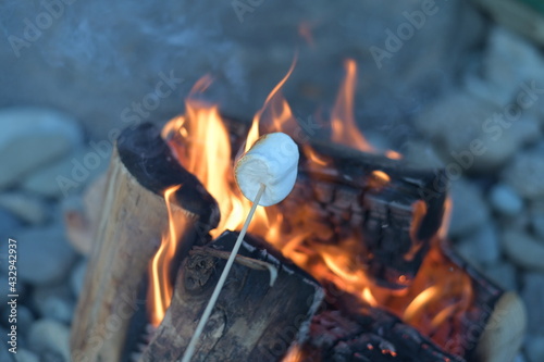 campfire toasting
