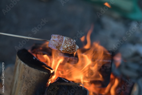 campfire toasting