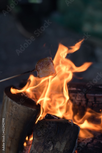 toasting on fire