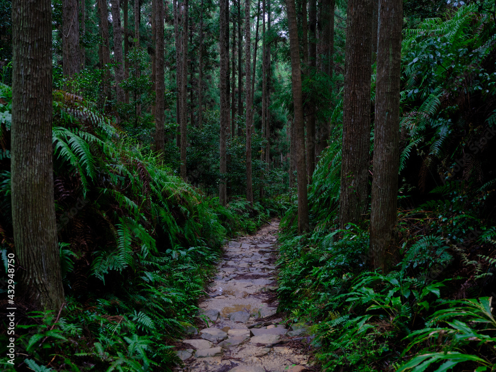 熊野古道 熊野古道