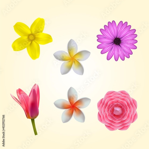 Realistic Detailed Spring Flower Collection_2