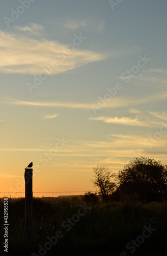 Atardecer en Vuelta de Obligado