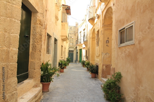 narrow street in the town © Thiago