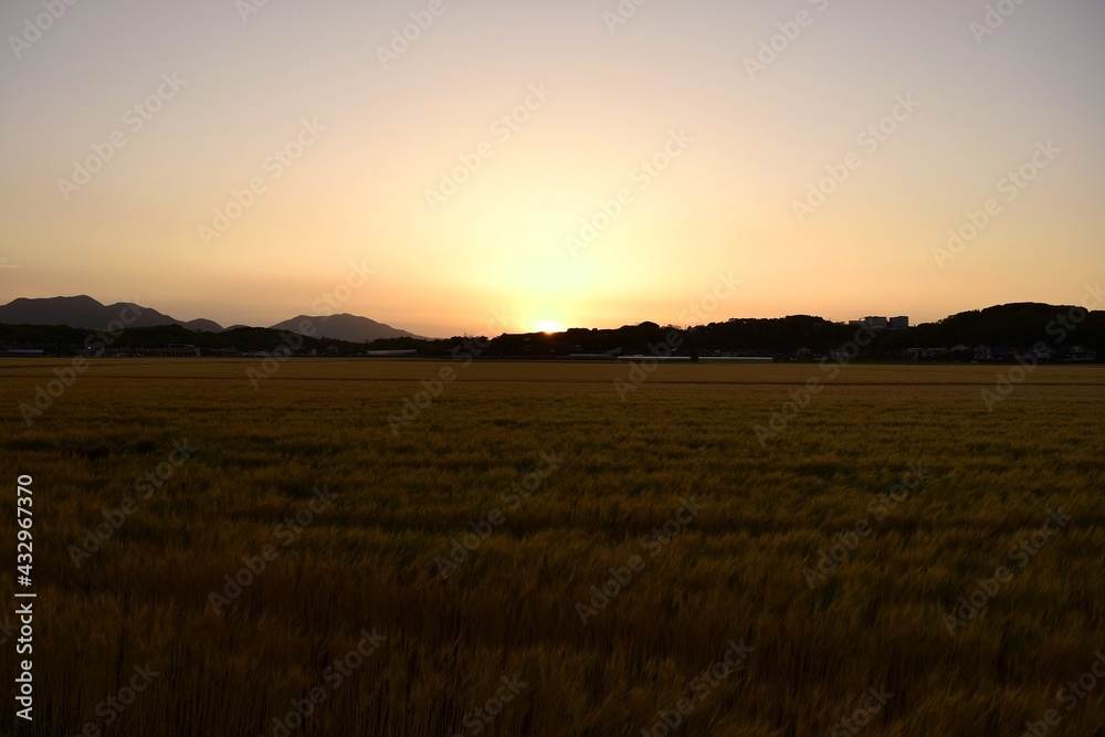 田園の夕日