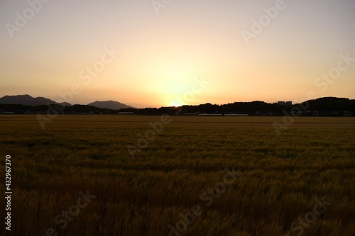 田園の夕日 © ケンジ ワカマツ
