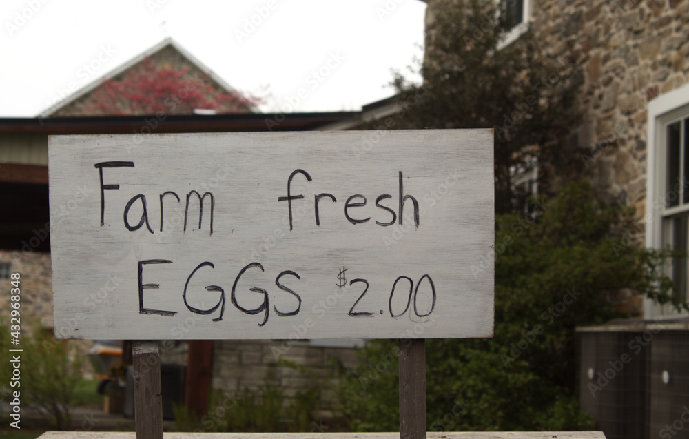 Amish farmer's Amish farmer's