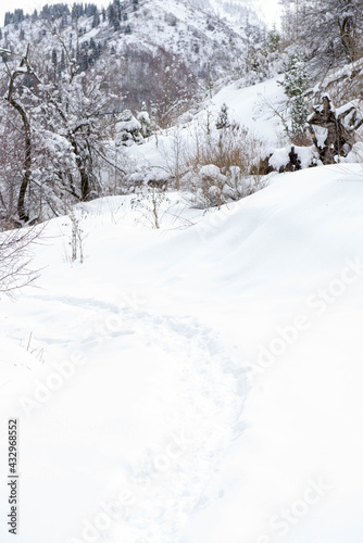 beautiful snowy path with footprints in winter