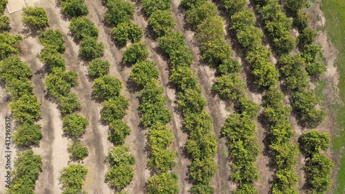 Orange County Agriculture 