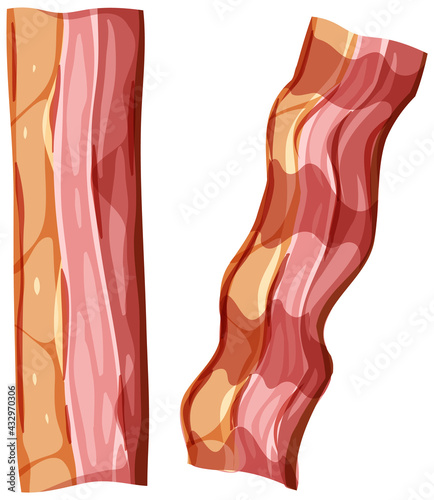 Sliced bacon on white background