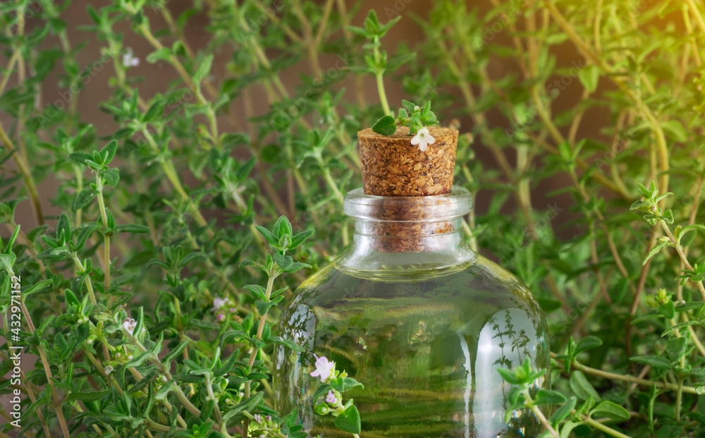 Thyme oil bottle with cork cap and a flower over it surrounded by Thyme brenchs and leaves with sunlight coming from the right Thyme oil bottle with cork cap and a flower over it surrounded by Thyme brenchs and leaves with sunlight coming from the right