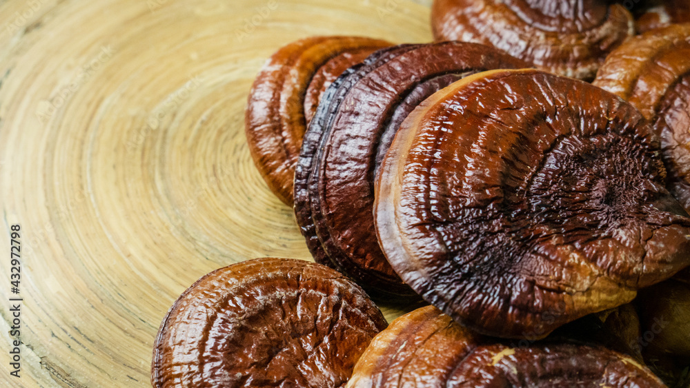 The lingzhi mushroom image close up for alternative medicine or medical and health concept.. The lingzhi mushroom image close up for alternative medicine or medical and health concept..