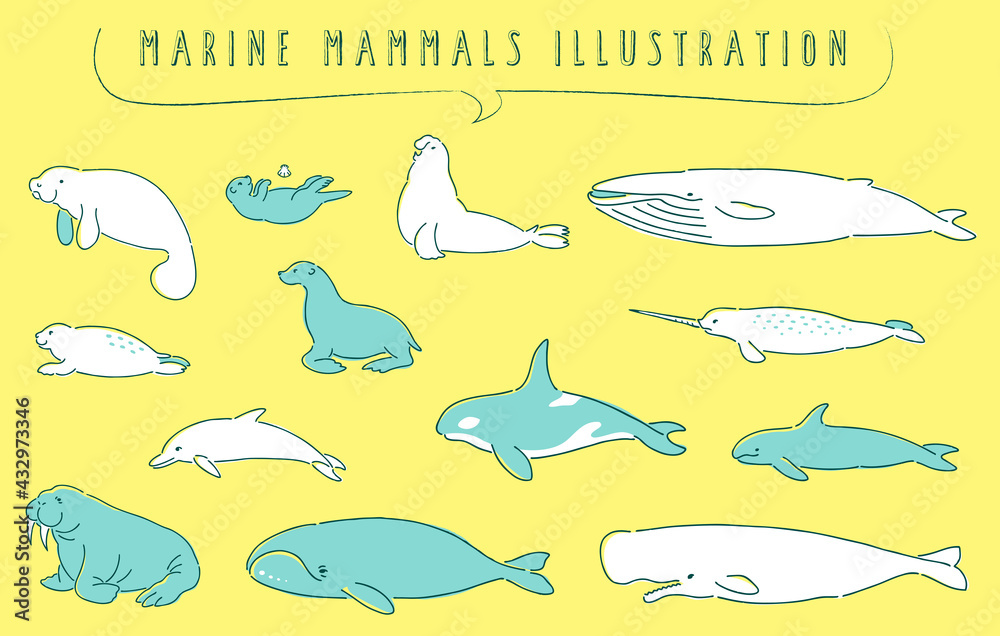 手描き風の海洋哺乳類のイラストセット