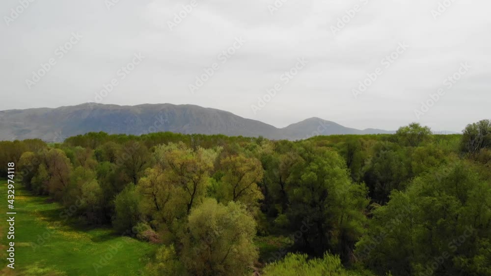 Peaceful forest surrounded by agricultural parcels and mountains in Albania Peaceful forest surrounded by agricultural parcels and mountains in Albania