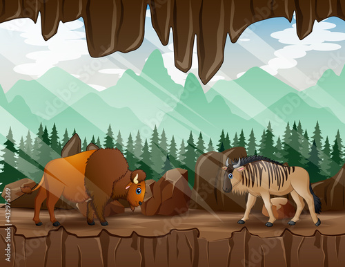 Cartoon a wildebeest and bison walking in the cave
