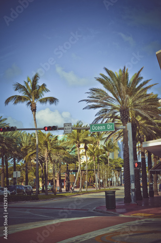 Summer in Miami Beach