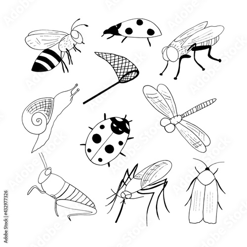 bee, fly, ladybug, mosquito, butterfly net, snail, locust, moth set icon. hand drawn doodle style. vector, minimalism, monochrome. insects, collection.
