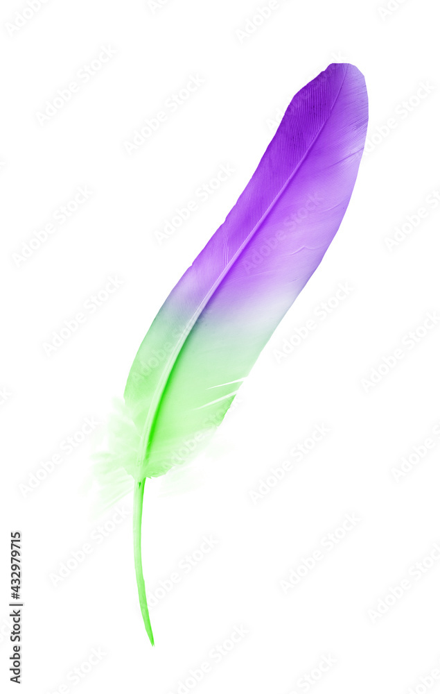 Fototapeta premium Beautiful color feather isolated on white background