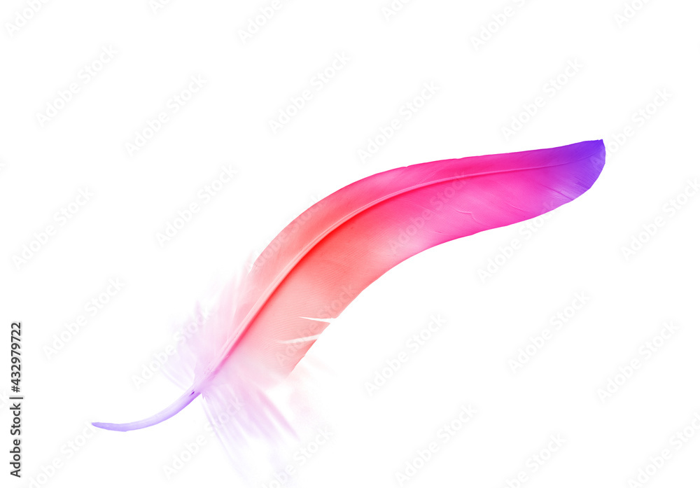 Fototapeta premium Beautiful color feather isolated on white background