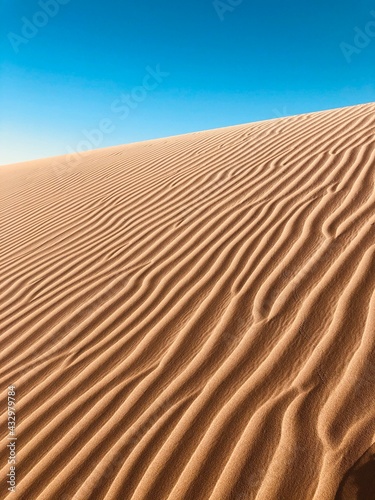 Wind ripples on a sand dune