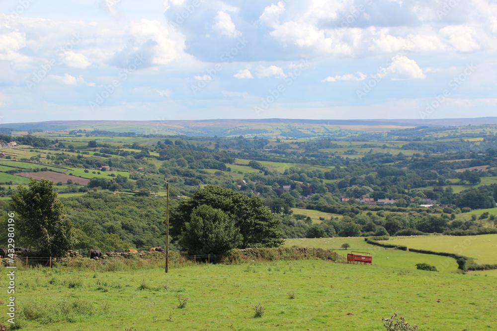 Rural scene in North Yorkshire, U.K..