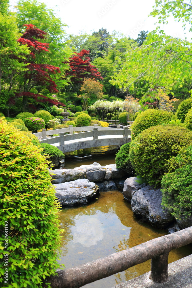 新緑の公園の日本庭園の風景
