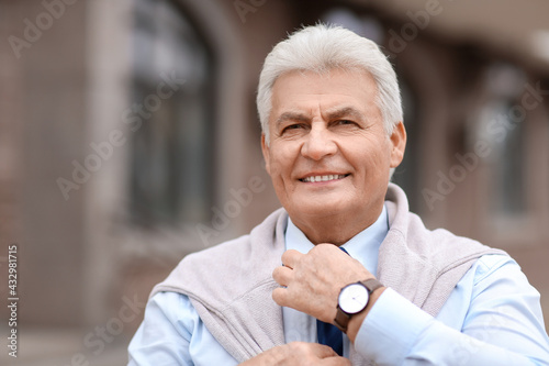 Portrait of senior business...