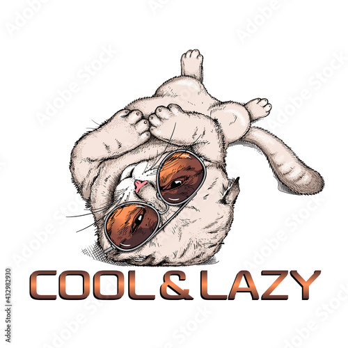 Cute scottish fold cat in sunglasses. Vector illustration in hand-drawn style. Cool and lazy illustration. Image for printing on any surface