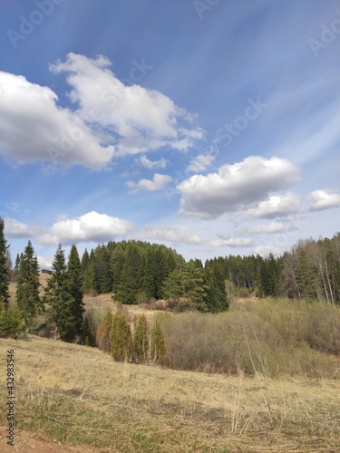 landscape with blue sky and clouds, and forest in spring