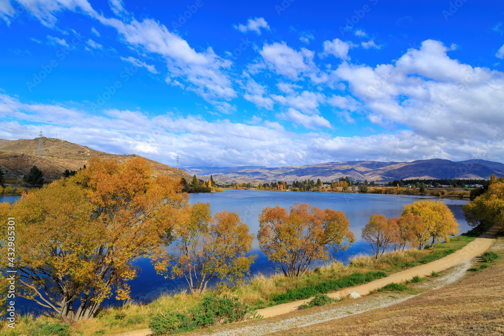 Autumn landscape at Cromwell, Otago, New Zealand. A row of trees with bright fall foliage on the edge of Lake Dunstan