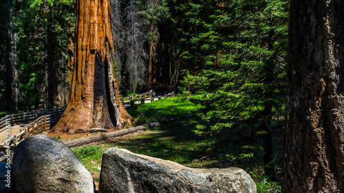 Sequoia National Park in the southern Sierra Nevada east of Visalia, California