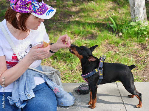 Foto woman with a dog