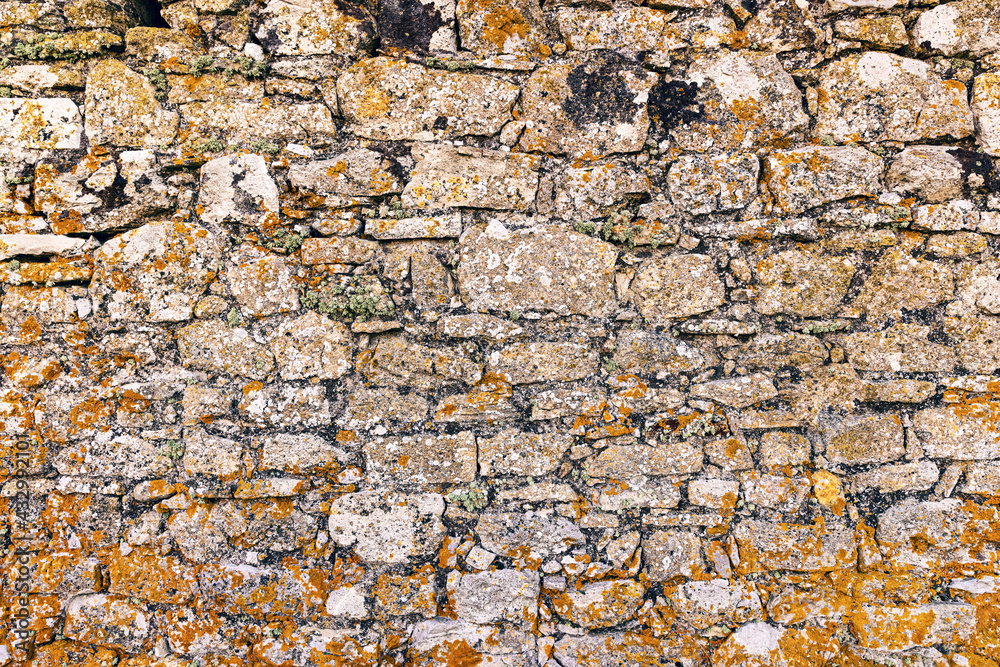 Old stonewall of medieval castle Old stonewall of medieval castle
