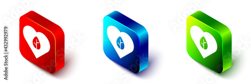 Isometric Vegan food diet icon isolated Isometric background. Organic, bio, eco symbol. Vegan, no meat, lactose free, healthy, fresh and nonviolent food. Red, blue and green square button. Vector