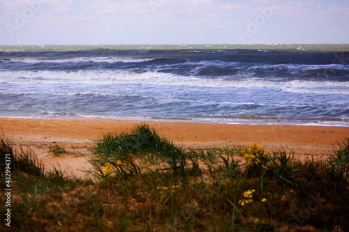 Azov Sea coast, Kazantip nature reserve, Shchelkino town, high wave at sea, kiteboarding, kitesurfing, windsurfing. Republic of Crimea photo