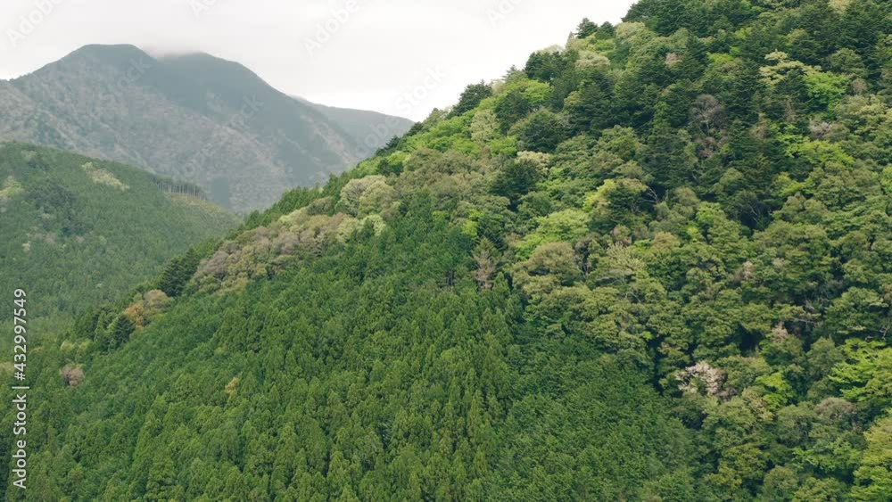 Scenic View Of Lush Green Mountains Of Kawane In Shizuoka, Japan - aerial pullback Scenic View Of Lush Green Mountains Of Kawane In Shizuoka, Japan - aerial pullback