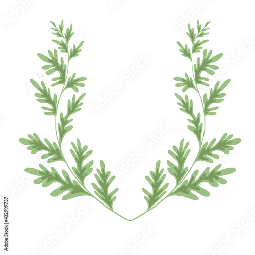 Wormwood herbaceous frame on a white background. Template with grass fields. Wreath with a branches of sagebrush. Vector natural card with Artemisia absinthium