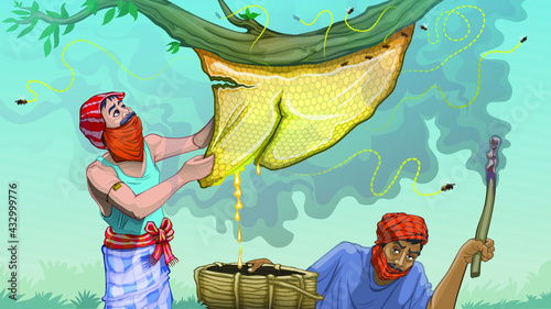 honey collector