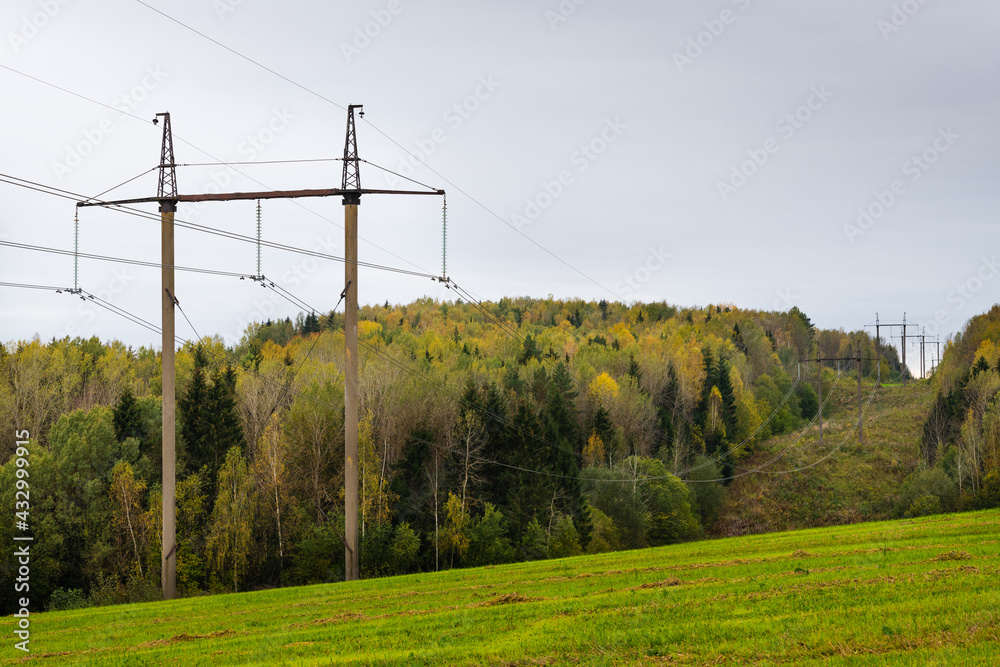 Power lines in the autumn forest