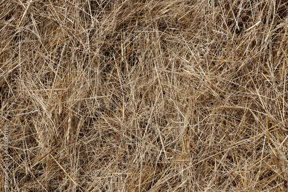 Gemähtes Stroh - Naturkonzept Hintergrund Gemähtes Stroh - Naturkonzept Hintergrund
