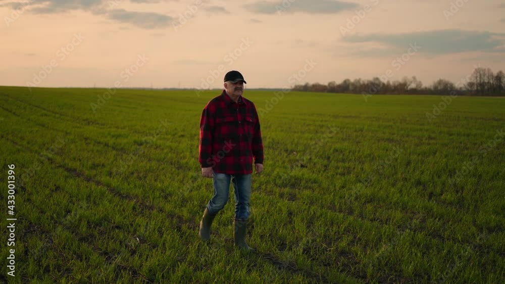 An elderly farmer walks across the field in his boots and the camera watches him An elderly farmer walks across the field in his boots and the camera watches him