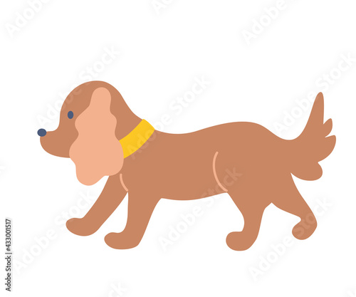 Cute little dog. Dachshund  lapdog. Flat Vector illustration.