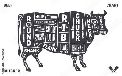 Cow, beef. Scheme, diagram, chart beef, butcher guide. Vintage retro print, art typography, tag, label with cow drawing, old school style. Poster cow for Butchery meat shop. Vector Illustration